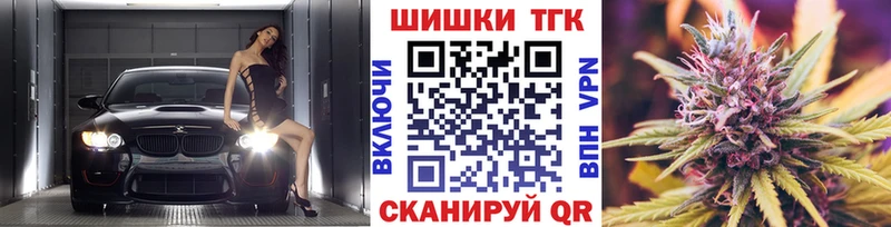 Шишки марихуана гибрид  Бакал 